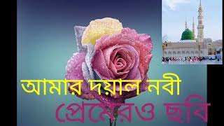 আমার দয়ালু নবী প্রেমেরও ছবি আর আসবেন না যত#গজল