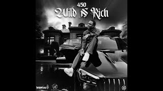 450 - wild n' rich (high school remix)