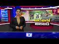 అడవిలో అలజడి spot light prime9 news