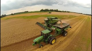 Two John Deere S670 combines harvesting winter wheat