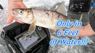 Catching Whitefish in 6 feet of Water on the Bay of Green Bay! | Wisconsin Ice Fishing