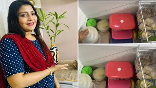 How to Organize a Deep Freezer/Chest Freezer Organization /ডিপ ফ্রিজ গোছানোর সহজ উপায় #banglavlog