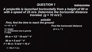 How to calculate the maximum height reached by a ball | Projectile in Physics