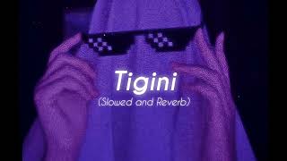 Tigini ( Slowed + Reverb ) ☆