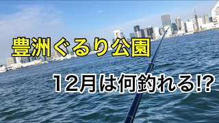 【豊洲ぐるり公園】初冬の豊洲ぐるり公園をアオイソメとショアジギングで攻める！