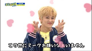 ど天然マークリーまとめ🐯　《NCT 日本語字幕》