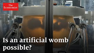 Are artificial wombs the future?