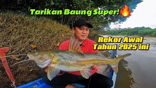 CARA MAKAN BAUNG BESAR MEMANG BEDA!! LANGSUNG MELENGKUNG