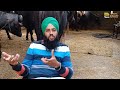 ਮੱਝਾਂ ਨਾਲ ਕਾਮਯਾਬ ਕੀਤਾ ਡੇਅਰੀ ਫਾਰਮ। successful dairy farm with 20 buffaloes