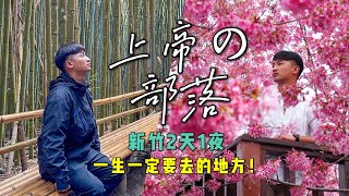 旅遊｜一生一定要去的上帝部落-司馬庫斯｜媲美日本櫻花的財伯果園｜新竹景點