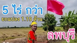 #ขายที่ดินราคาถูกมาก 5 ไร่กว่า ดินดำ น้ำดี ขายยกแปลง 1.19 ล้าน เมือง ลพบุรี 0983875209 🥰🥰🥰