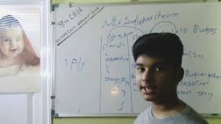 Java Programming Tutorial For Beginners By Neel | Episode - 12 | Inheritance | Java Zone