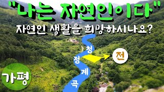 (가평토지매매) 인적드문 숲속 청정계곡 옆 땅보고 왔습니다. 산속 자연생활을 희망하는 분들에게 추천드려요~(가평군 상판리)