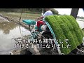 田植え２日目・変形田の田植え　令和2年　2020・田んぼ　クボタ・田植機spu500p