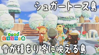 【あつ森】冬に映える島に進化した＊シュガートース島【あつまれどうぶつの森/Animal Crossing/くるみ/しゃちくるみ/島クリエイター/島整備/島クリエイト】