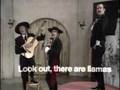 Monty Python - Llamas
