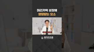 머리카락 성장기를 늘리면 탈모 탈출이 될까..? #머리카락 #성장 #성장기