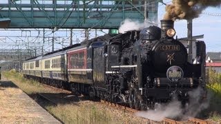 信越本線C57＋12系 快速『SLなおえつ鉄道まつり』＠10.6走行分