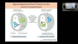 Intracellular compartments and Transport 1