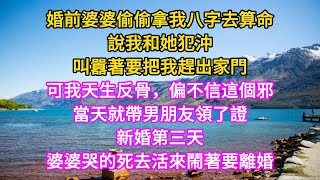 婚前婆婆偷偷拿我八字去算命，說我和她犯沖，叫囂著要把我趕出家門。可我天生反骨，偏不信邪，當天就帶男朋友領了證.. #家庭 #養老 #故事  #人生感悟 #子女孝順 #中老年心語 #深夜讀書 #真情歲月