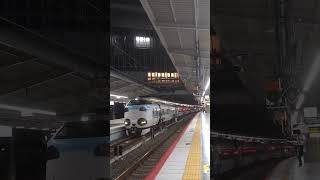 新大阪駅パンダくろしおお見送り