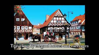 Silesia castle tour by horse and carriage