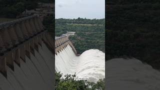 srisailam dam water falls #hyderabad  #telangana #srisailam #tranding #shorts