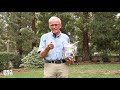 organic soil amendments how to apply john u0026 bob’s nourish biosol