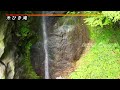 鹿の子沢風景林 散策 ＆ 勝山温泉ゆうゆ