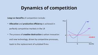 Competition and contestable markets