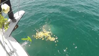 Burial at Sea Basket Service