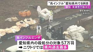 2025年に入り6例目…愛知県常滑市の養鶏場で鳥インフルエンザを確認 既に殺処分対象の鶏が57万羽超える