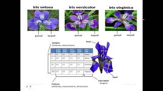 ML Lab -17CSL76- Program 9 -K NN-Iris data set