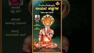 ಕಾಡುವ ಕಷ್ಟಗಳ | ಕಾಡುವ ಕಷ್ಟಗಳು |Sri Ajjayya Devotional Song |Prithwi Bhat@SVDRaaga #shorts