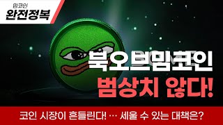 보미에 대해 알아보자 #보미코인 #북오브밈