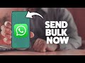 How To Send Bulk Messages On WhatsApp 2025 (iPhone & Android)