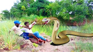 Anaconda snake 2 in real life HD video | Biggest snake in the world