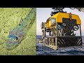 Great Barrier Reef: First new giant reef discovery in over 120 years explained