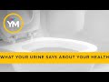 What your urine says about your health | Your Morning