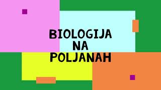 Gimnazija Poljane - Zmešana biologija