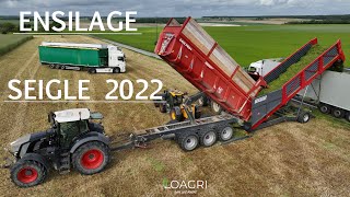 ENSILAGE pour MÉTHANISATION : 9 camions/2 faucheuses/1 ensileuse/1 transexpress/4 bennes !