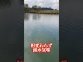 【印旛沼水系】いまだ減水気味の鉄骨水路…水質調査隊w shorts bassfishing バス釣り