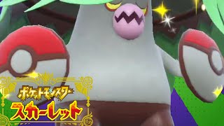 思った以上にアラブルタケ【ポケモンSV】