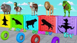 Cow Mammoth Elephant Tiger Gorilla Guess The Right Mystery Shape CHALLENGE Animals Tire Game