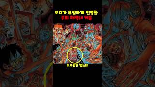 원피스)오다가 인정한 루피해적단 내에 유일한 커플