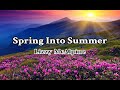 Spring Into Summer - Lizzy McAlpine (Lyrics Video)