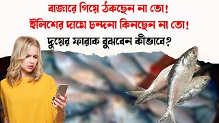 বাজারে গিয়ে ঠকছেন না তো! ইলিশের দামে চন্দনা কিনছেন না তো!  | Ilish | Chandana | Fish