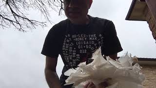 Trimming the feathers before putting the fantail pigeons together