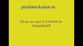 How to use angular ui grid?