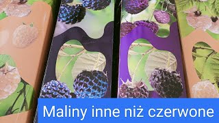 Maliny nie muszą być czerwone! Jak hartować maliny ze sklepu. Co zrobić z malinami, gdy jeszcze mróz